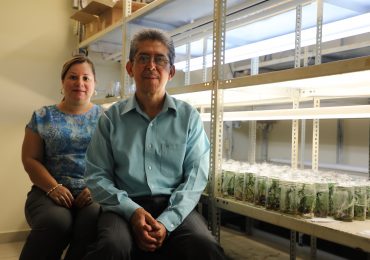 VAINILLA, UNA INVESTIGACIÓN DULCE PARA EL PALADAR CIENTÍFICO EN AGRONOMÍA