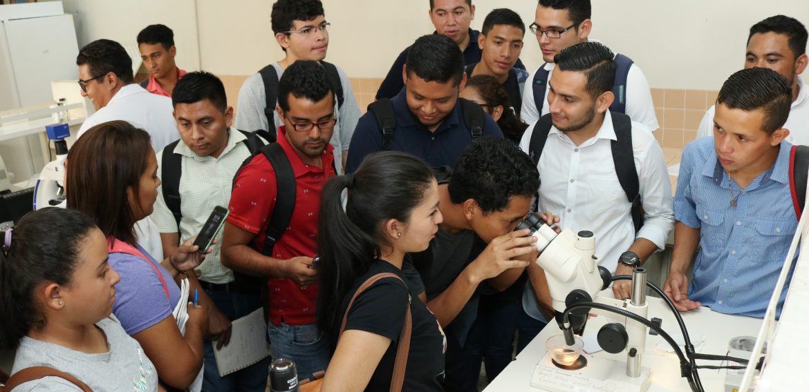 SOBRE HONGOS, BACTERIAS Y VIRUS: UNA VISITA TÉCNICA AGRONÓMICA