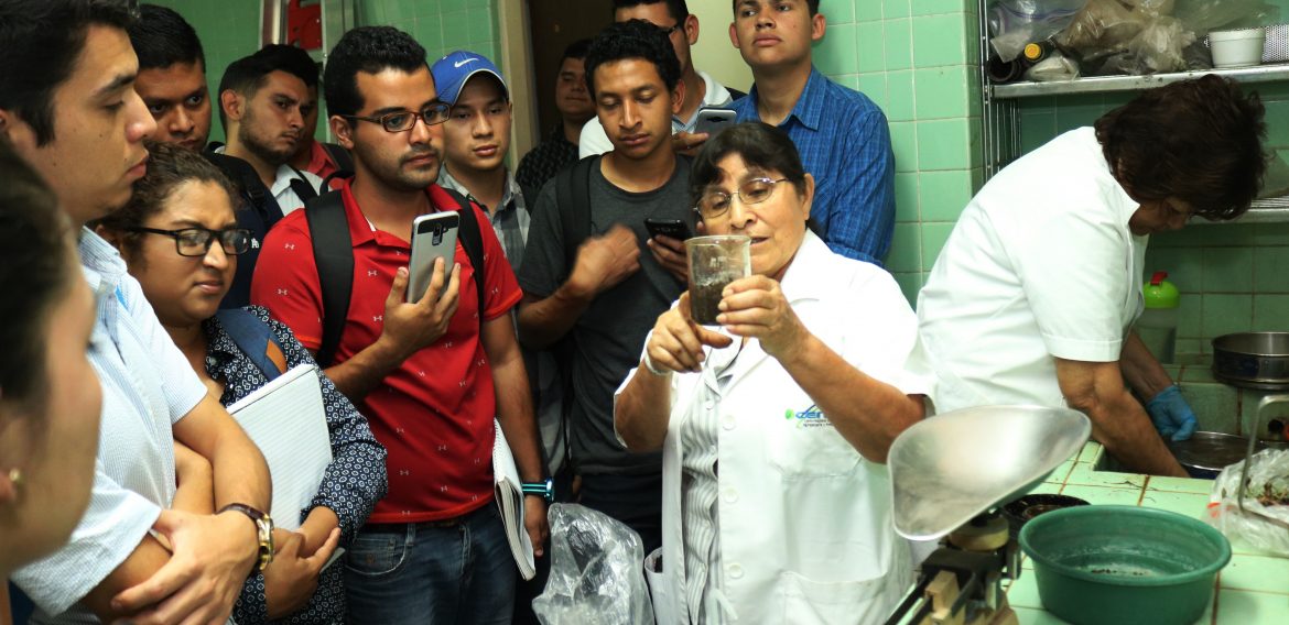 SOBRE HONGOS, BACTERIAS Y VIRUS: UNA VISITA TÉCNICA AGRONÓMICA