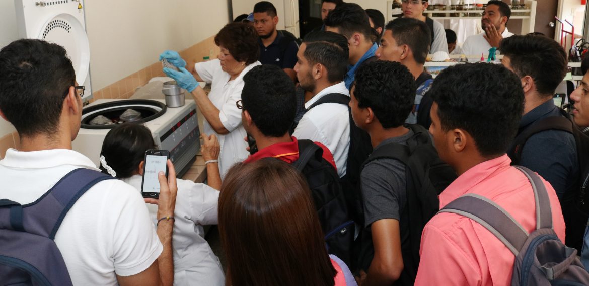 SOBRE HONGOS, BACTERIAS Y VIRUS: UNA VISITA TÉCNICA AGRONÓMICA