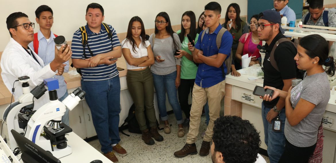 SOBRE HONGOS, BACTERIAS Y VIRUS: UNA VISITA TÉCNICA AGRONÓMICA