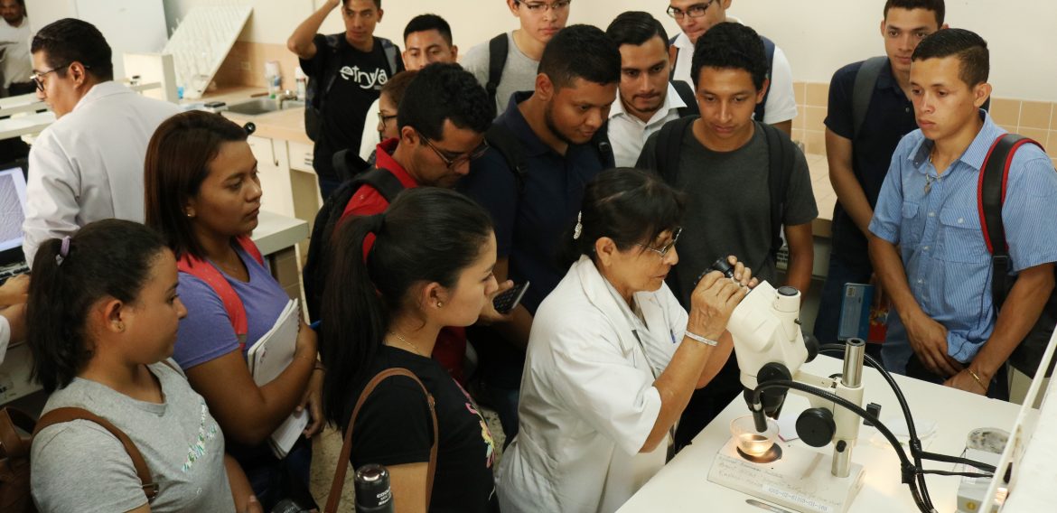 SOBRE HONGOS, BACTERIAS Y VIRUS: UNA VISITA TÉCNICA AGRONÓMICA