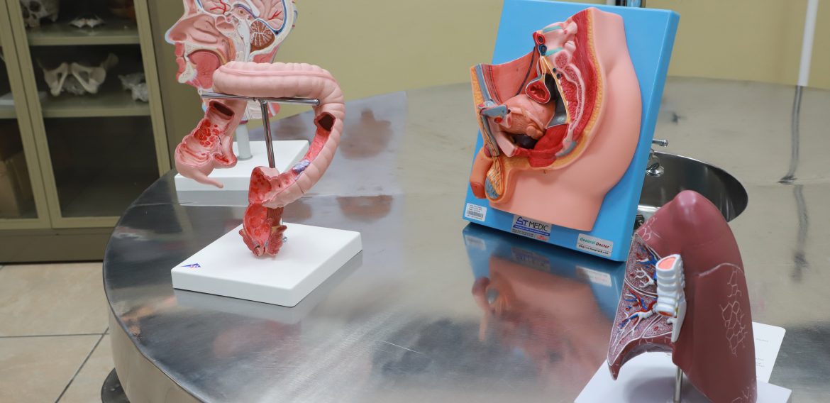 FACULTAD DE CIENCIAS DE LA SALUD ADQUIERE NUEVO EQUIPO PARA PRÁCTICAS EN MEDICINA