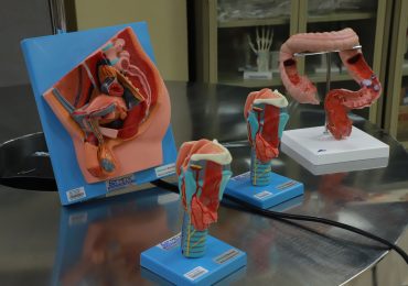 FACULTAD DE CIENCIAS DE LA SALUD ADQUIERE NUEVO EQUIPO PARA PRÁCTICAS EN MEDICINA