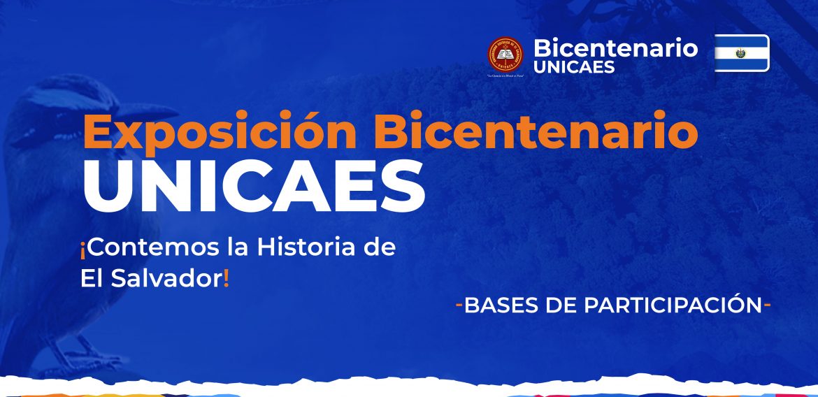 Galería de dibujo y fotografía: Bases de participación