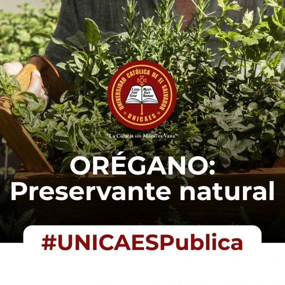 El orégano: un sustituto natural para preservar productos cárnicos