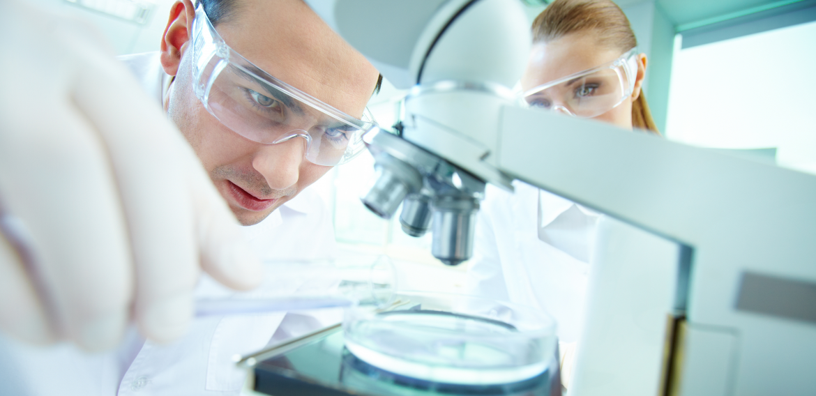 Primera convocatoria para proyectos de investigación 2023