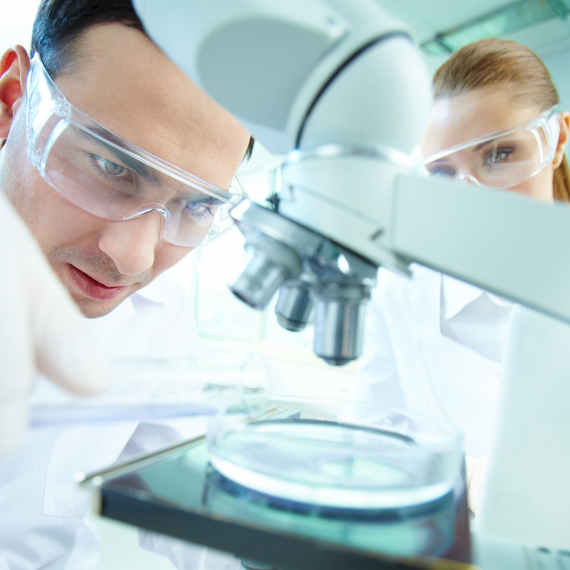 Primera convocatoria para proyectos de investigación 2023