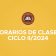 HORARIO DE CLASES CICLO II/2024