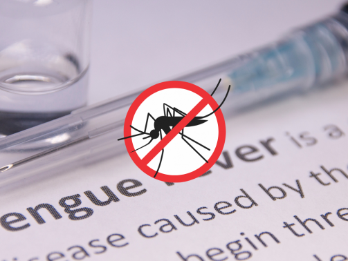 UNICAES prevencion DENGUE